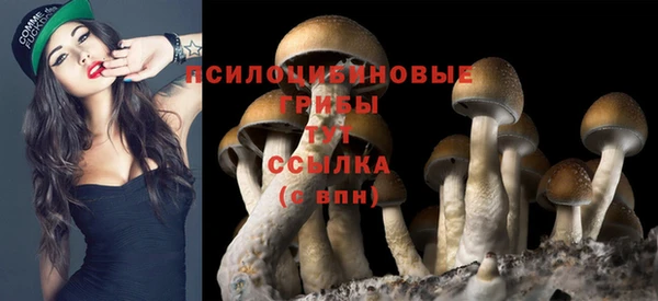 a pvp Остров