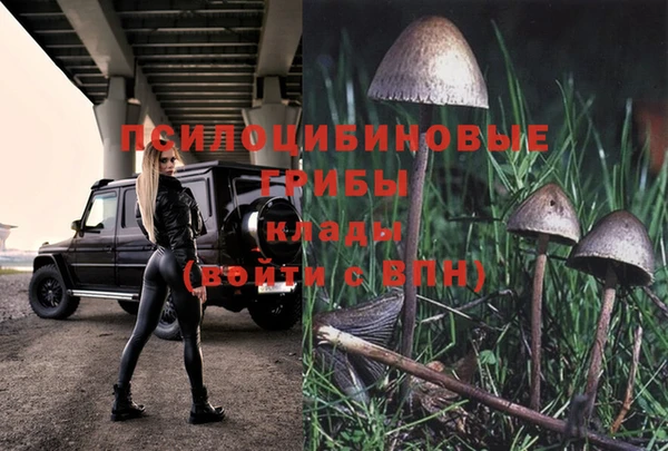герыч Бородино